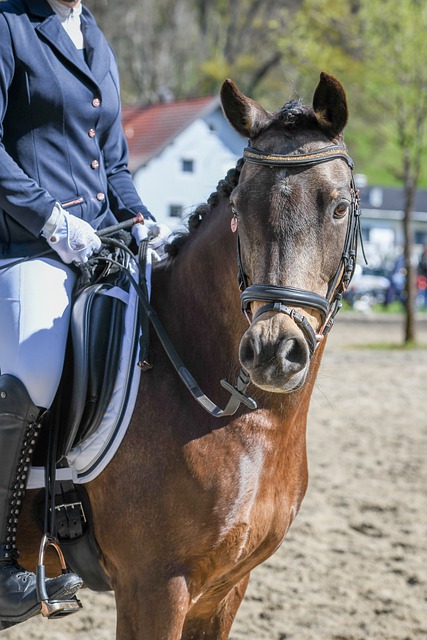 巴神、内马尔，才是最接近梅西、C罗的
